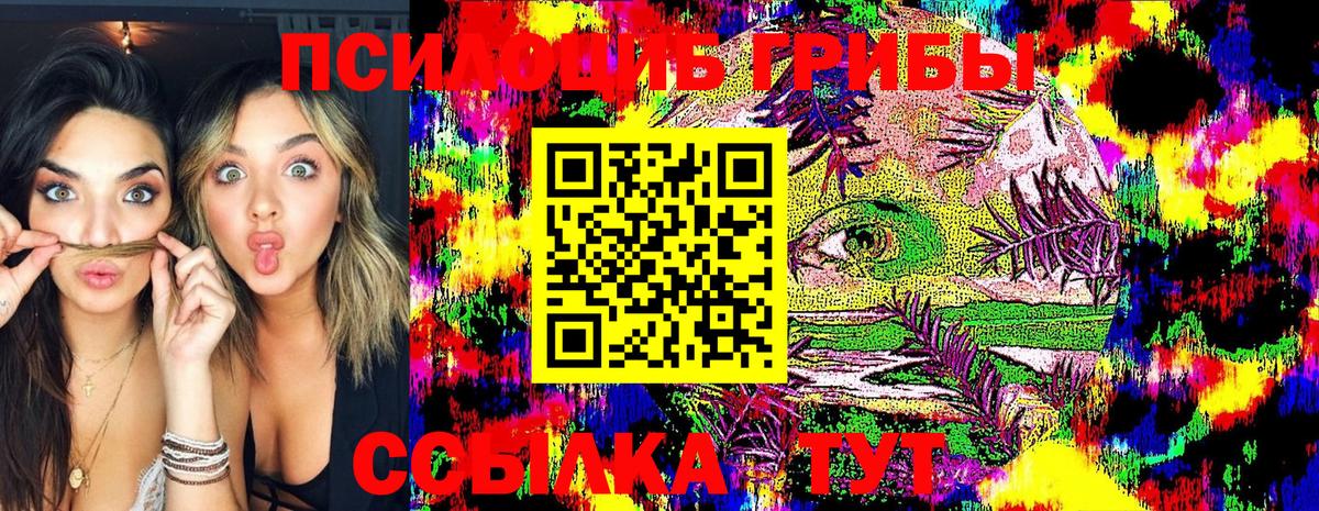 Псилоцибиновые грибы GOLDEN TEACHER  Псилоцибиновые грибы MAGIC MUSHROOMS  Моршанск  Вход с VPN 